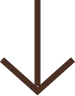 brown arrow