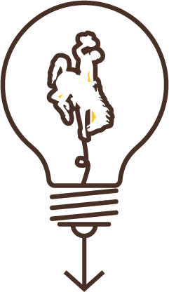 lightbulb with steamboat icon